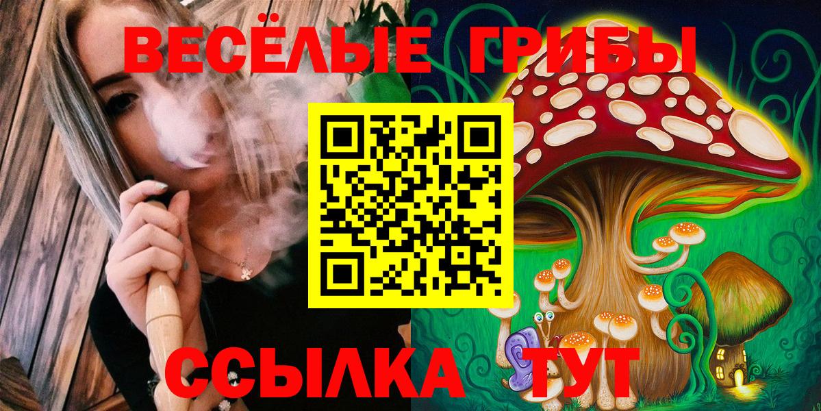 Галлюциногенные грибы мухоморы Славянск-на-Кубани