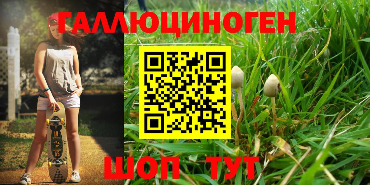 Галлюциногенные грибы мухоморы  Вход с VPN  Славянск-на-Кубани 